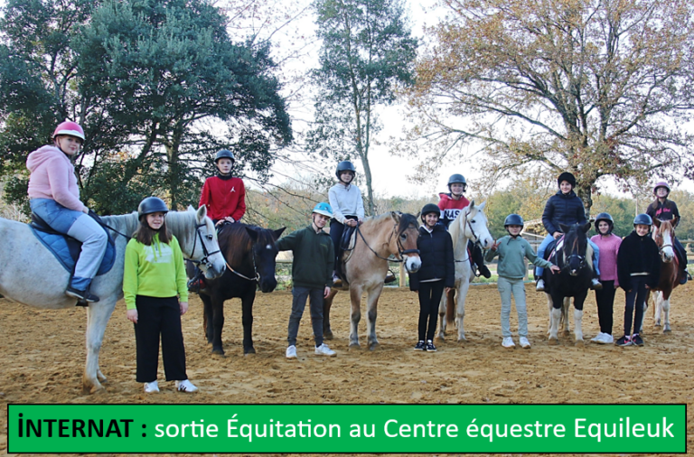 Sortie Equitation pour les internes