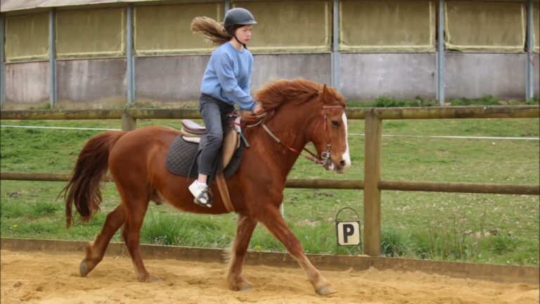 Les Internes à cheval !